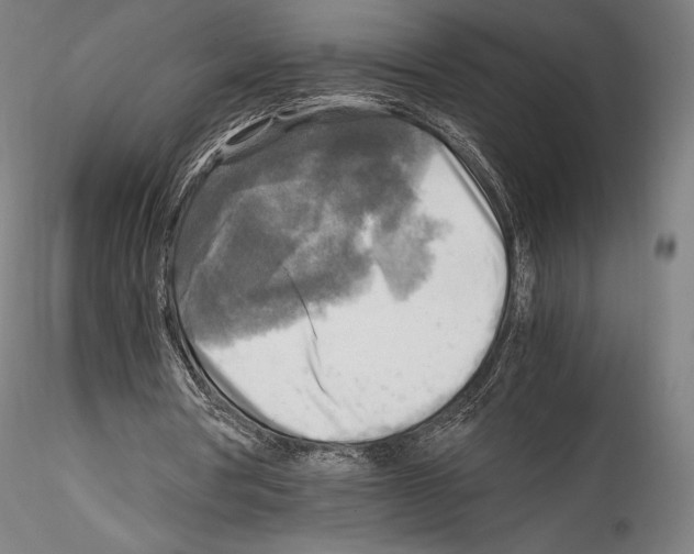 X0000114560386200911301253