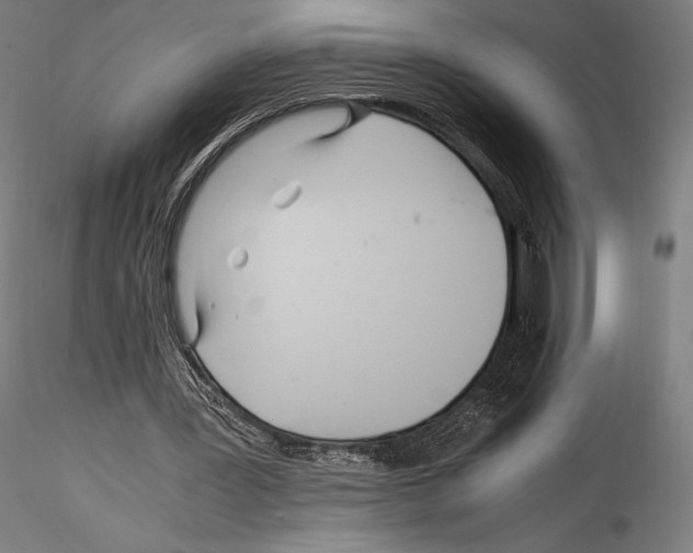 X0000114560387200911301253