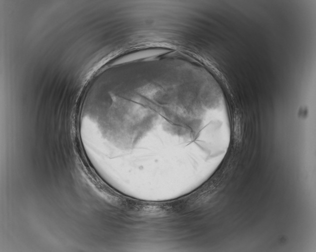 X0000114560390200911301253