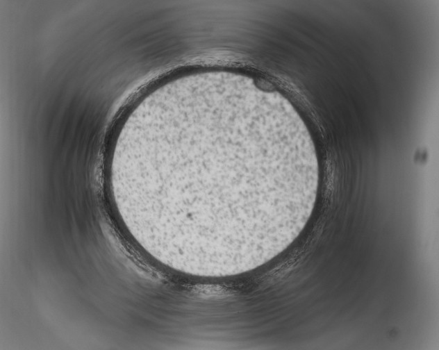X0000114560392200911301253