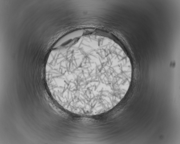 X0000114560393200911301253