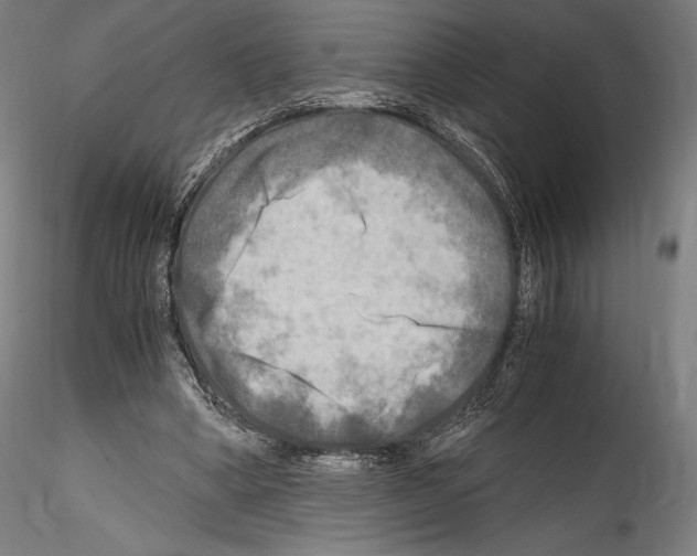 X0000114560394200911301253