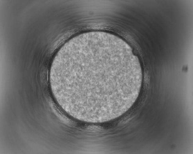 X0000114560397200911301253