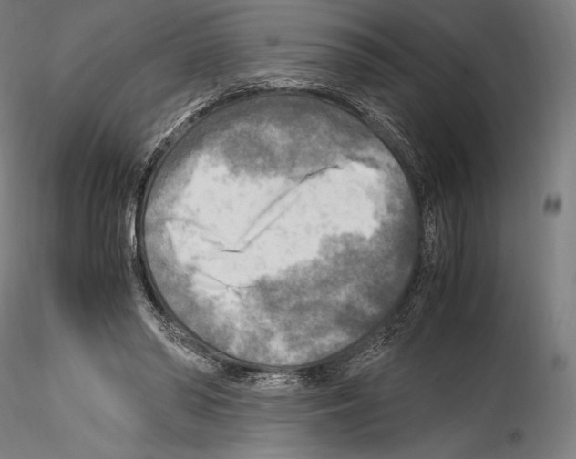 X0000114560398200911301253