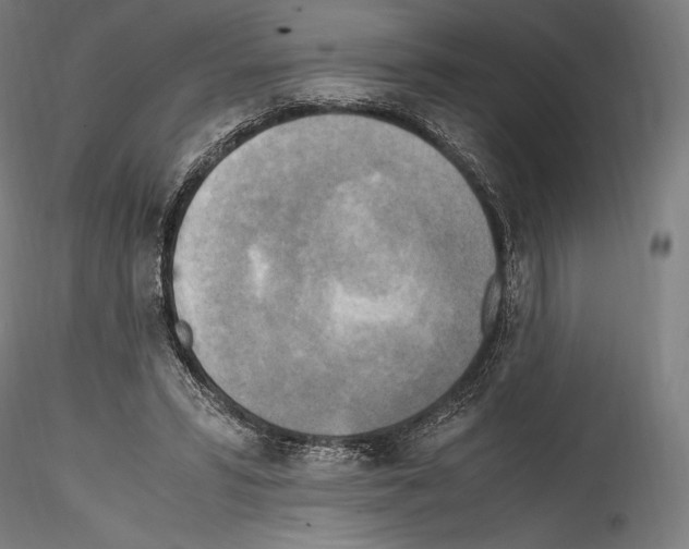 X0000114560399200911301253