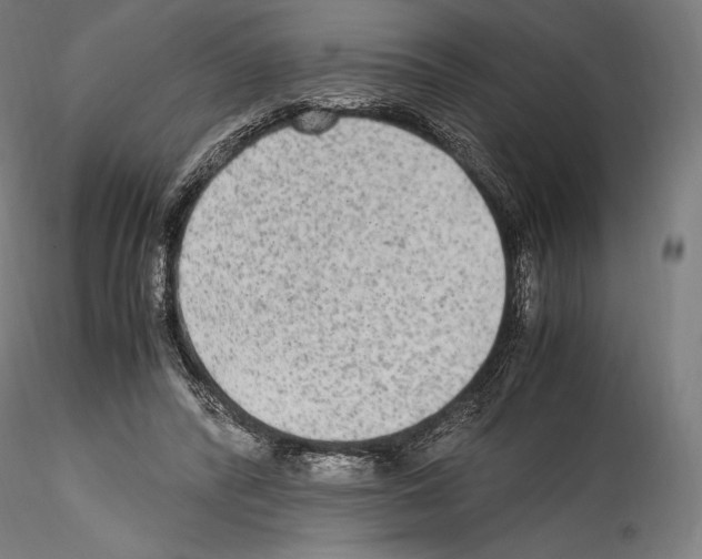 X0000114560400200911301253