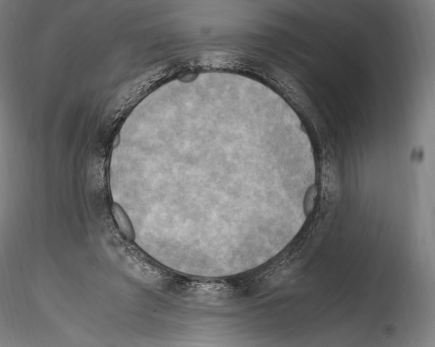 X0000114560401200911301253