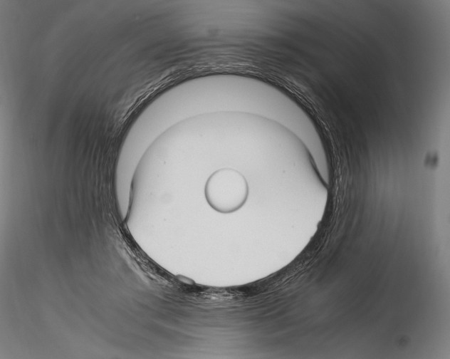 X0000114560405200911301253