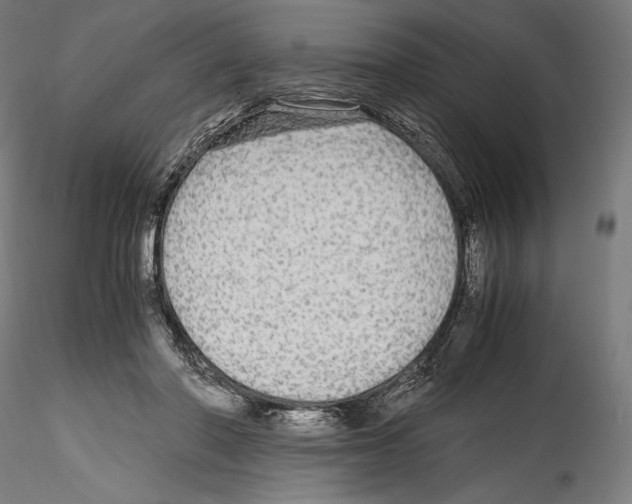 X0000114560406200911301253