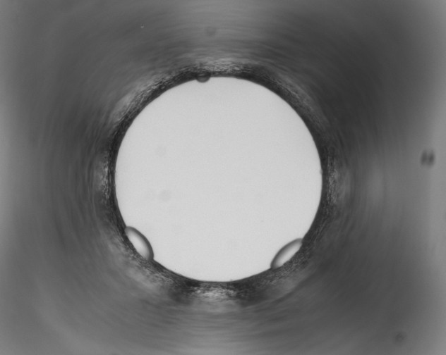 X0000114560407200911301253