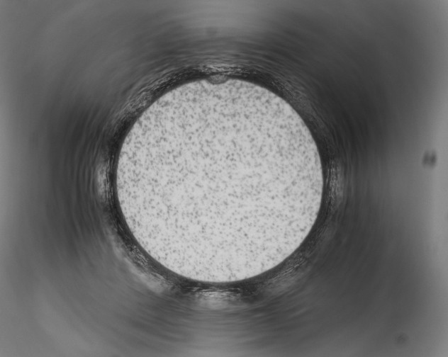 X0000114560408200911301253