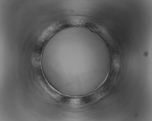 X0000114560411200911301253
