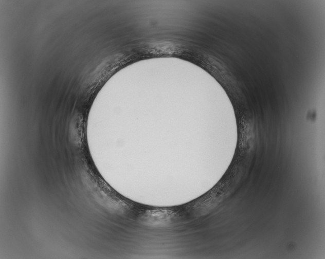 X0000114560414200911301253