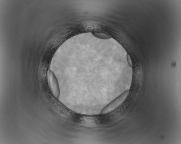 X0000114560417200911301253