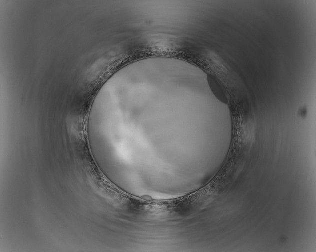 X0000114560419200911301253