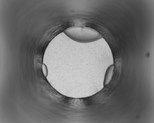 X0000114560421200911301253