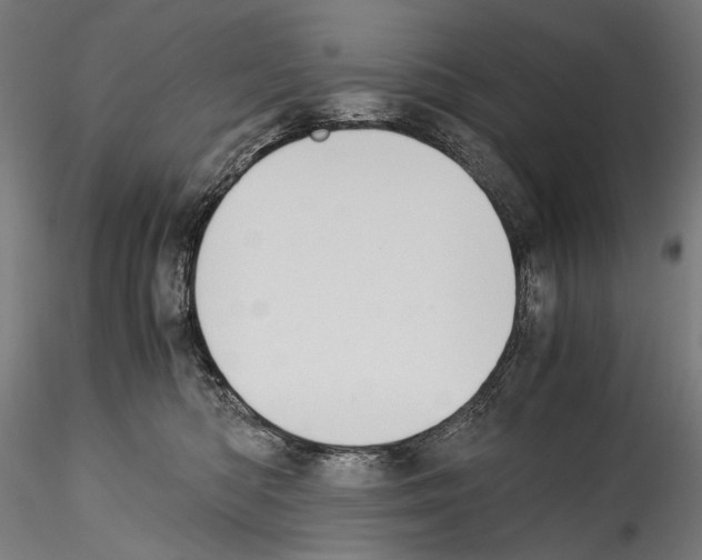 X0000114560422200911301253
