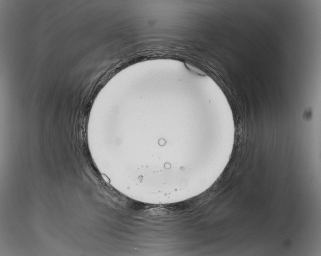 X0000114560423200911301253