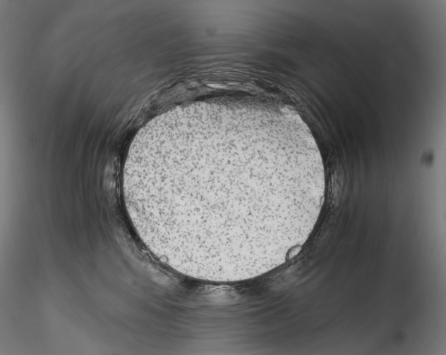 X0000114560424200911301253