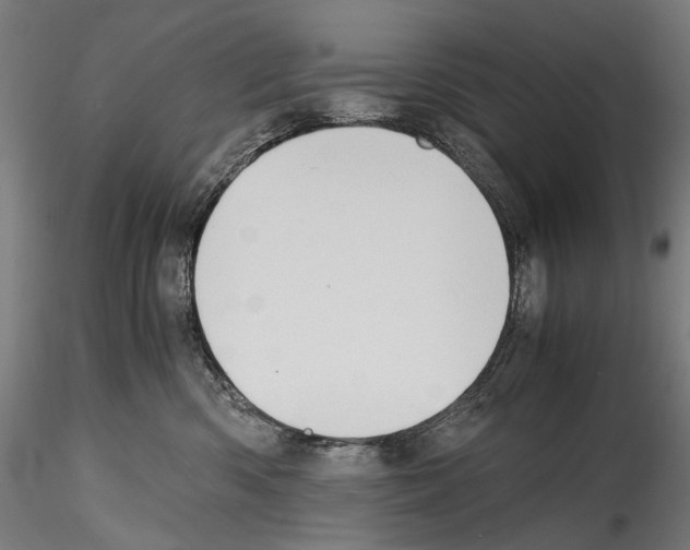 X0000114560426200911301253
