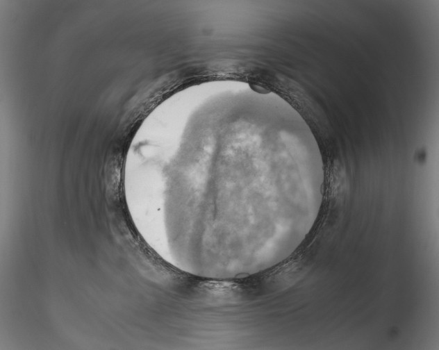 X0000114560427200911301253