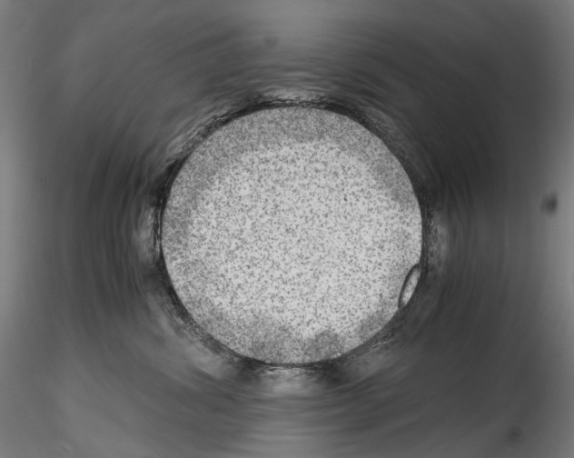 X0000114560428200911301253