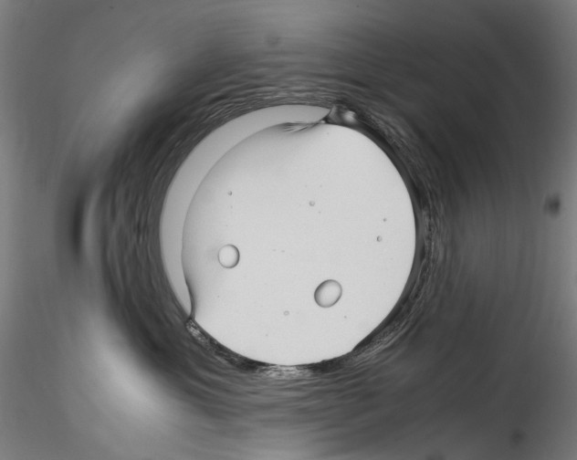 X0000114560429200911301253