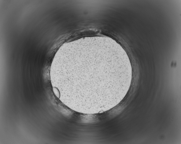 X0000114560432200911301253