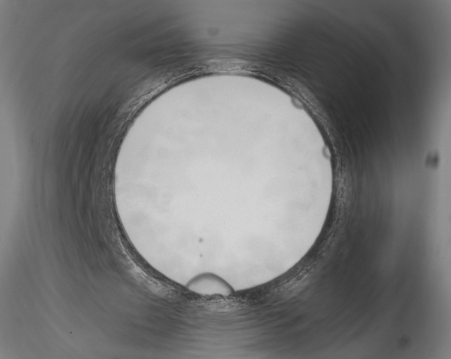 X0000114560433200911301252