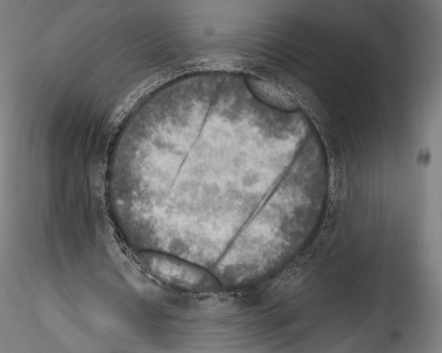X0000114560434200911301252