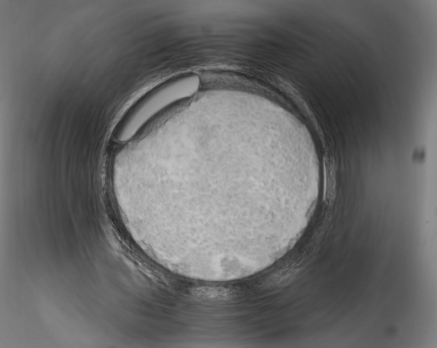 X0000114560435200911301252