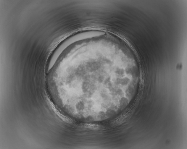 X0000114560437200911301252