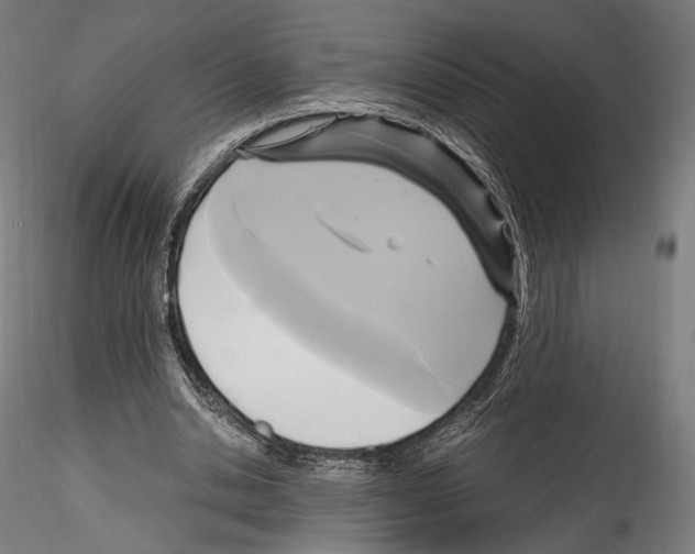 X0000114560438200911301252