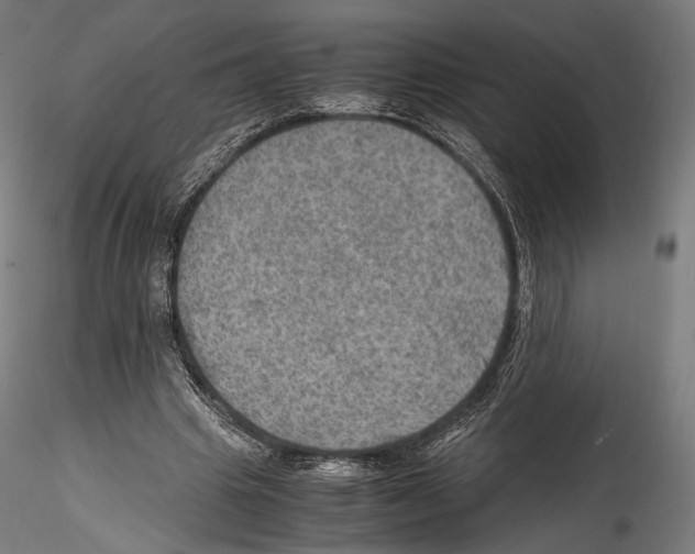 X0000114560441200911301252