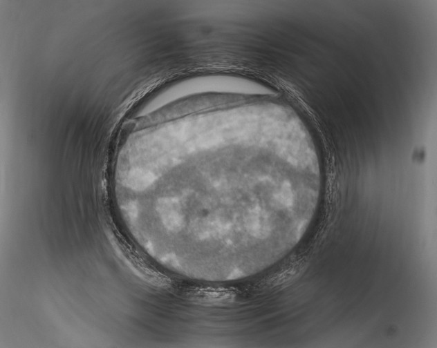 X0000114560443200911301252