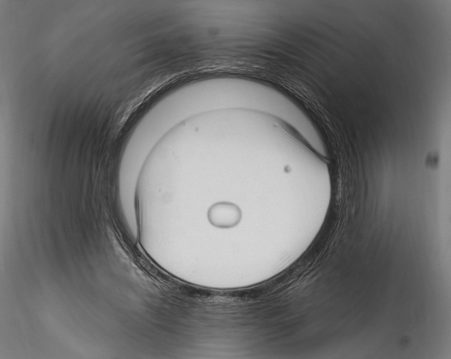 X0000114560444200911301252