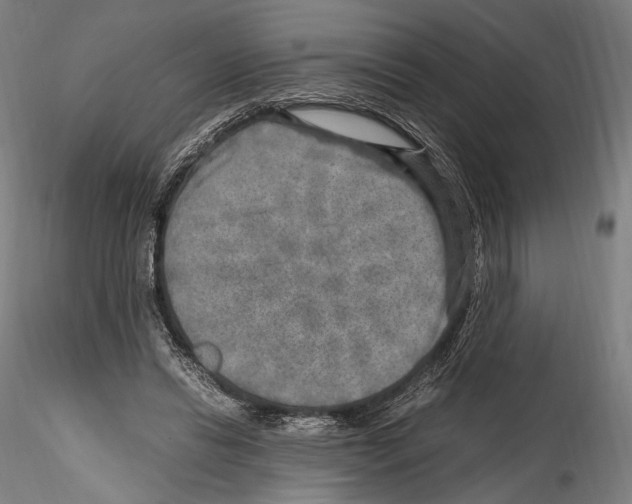 X0000114560446200911301252