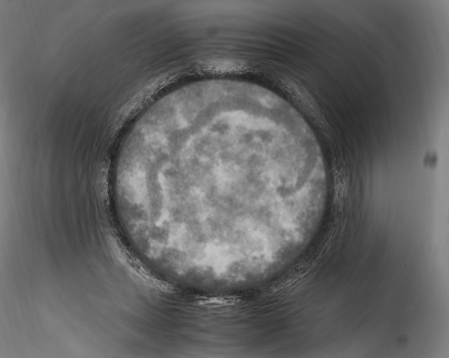 X0000114560447200911301252