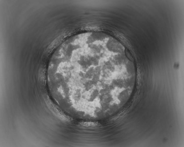 X0000114560449200911301252