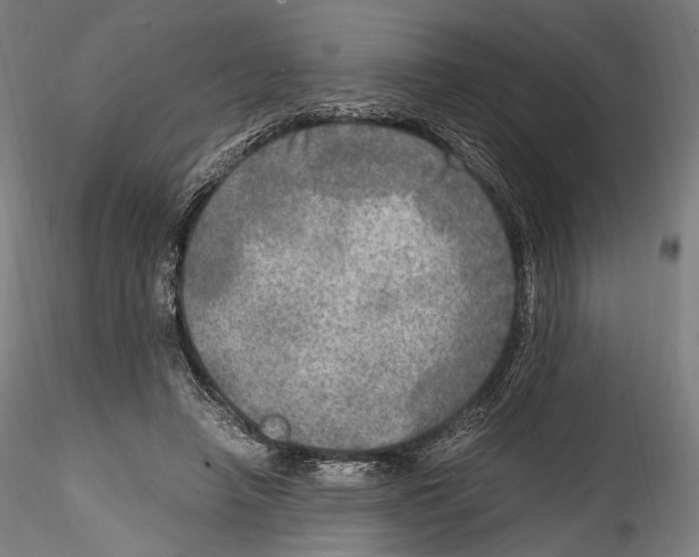 X0000114560450200911301252