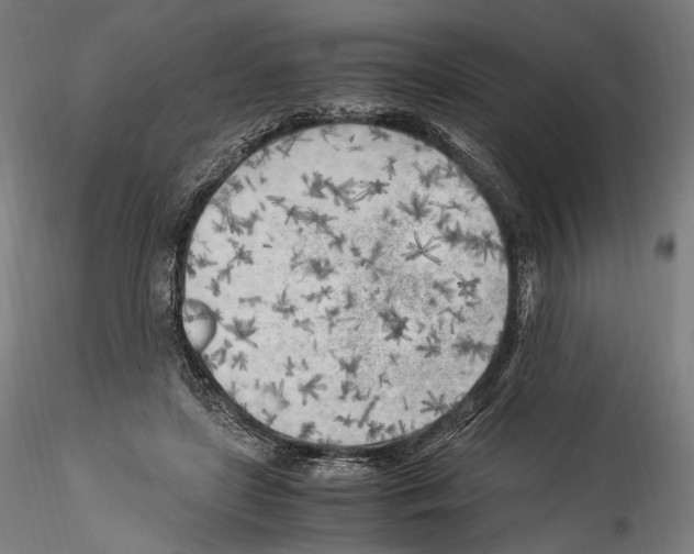 X0000114560451200911301252