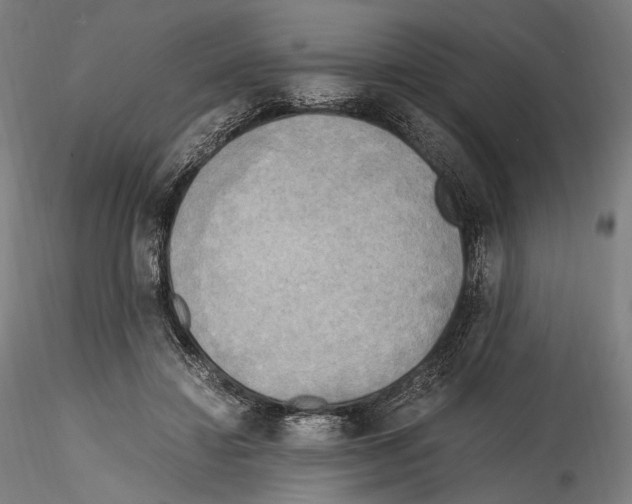 X0000114560452200911301252