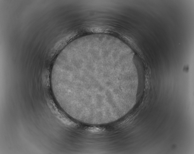 X0000114560453200911301252