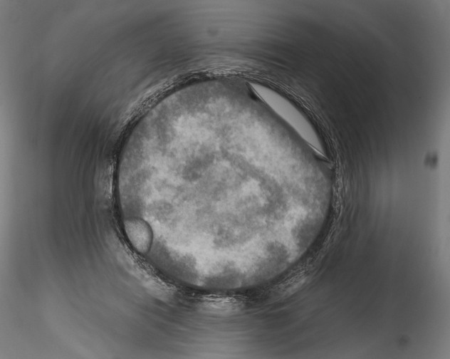 X0000114560454200911301252