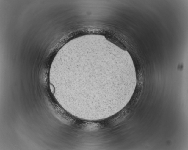 X0000114560456200911301252