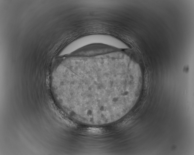 X0000114560457200911301252