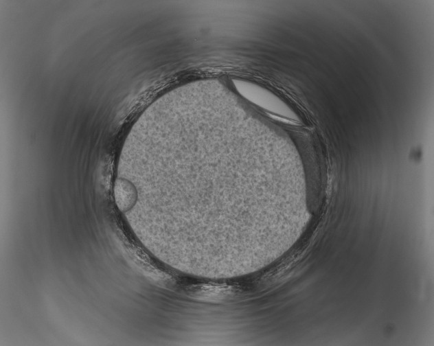 X0000114560458200911301252