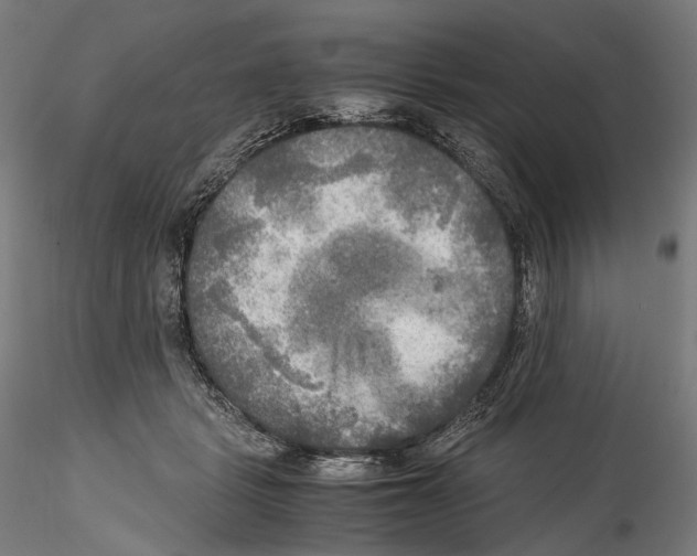 X0000114560461200911301252