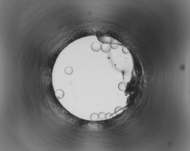 X0000114560464200911301252