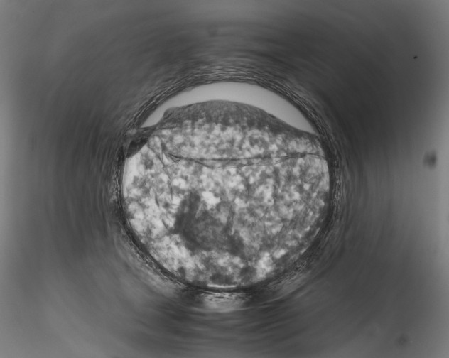 X0000114560465200911301252